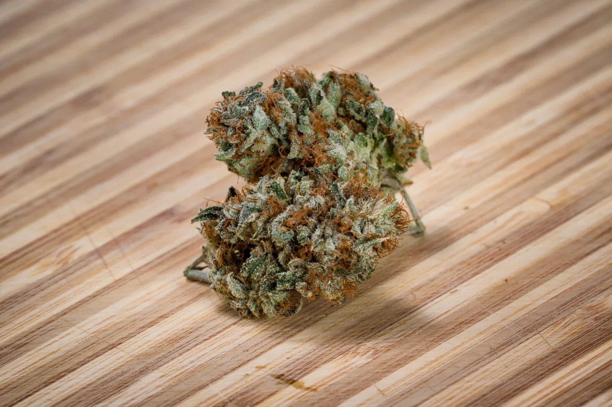 Premium cannabis flower