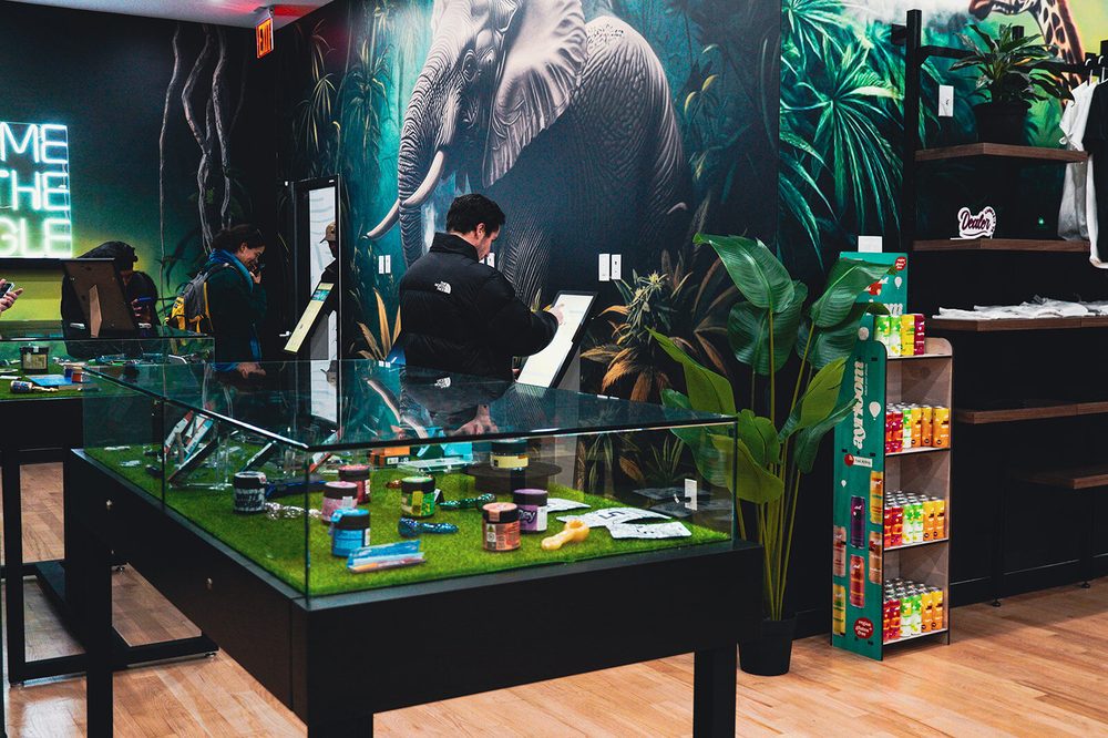 Curated cannabis brand display case at Jungle Kingdom Flower dispensary in Brooklyn