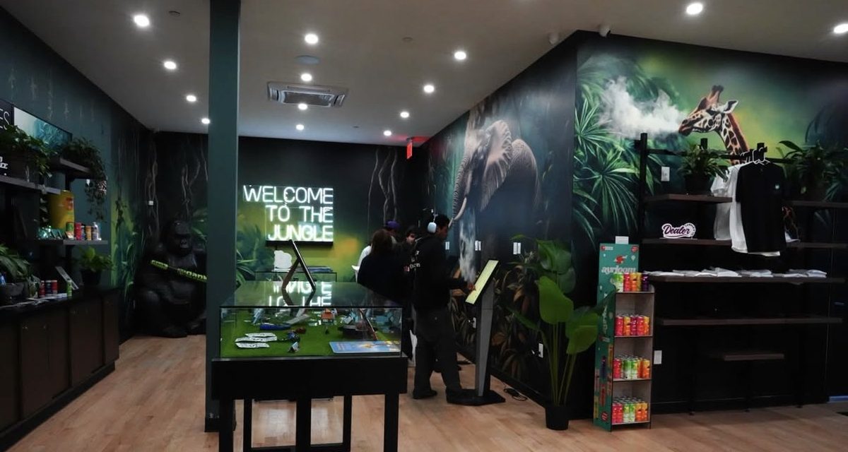 Inside Jungle Kingdom Flower dispensary  -  Bed-Stuy cannabis delivery